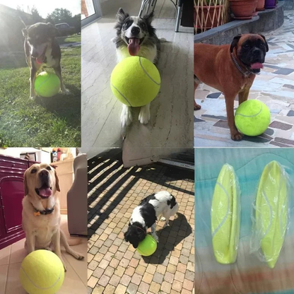 Dog Tennis Ball