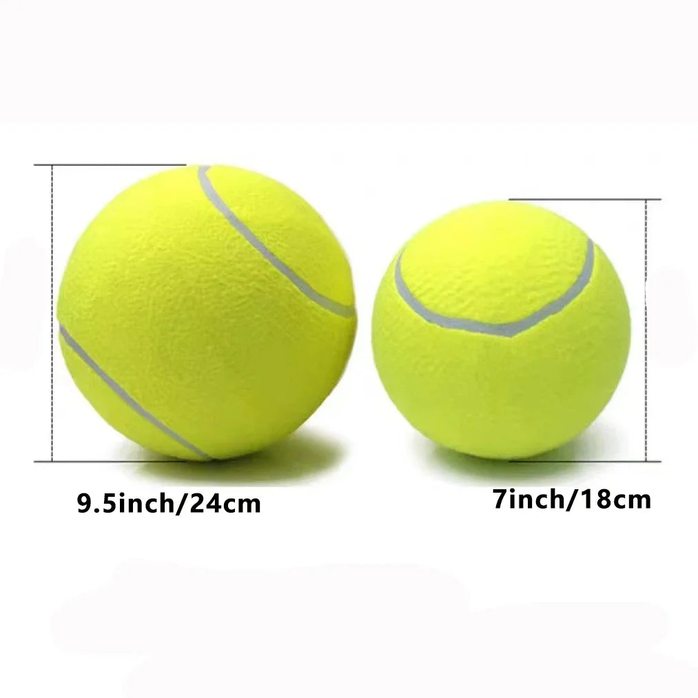 Dog Tennis Ball