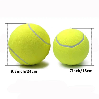 Dog Tennis Ball