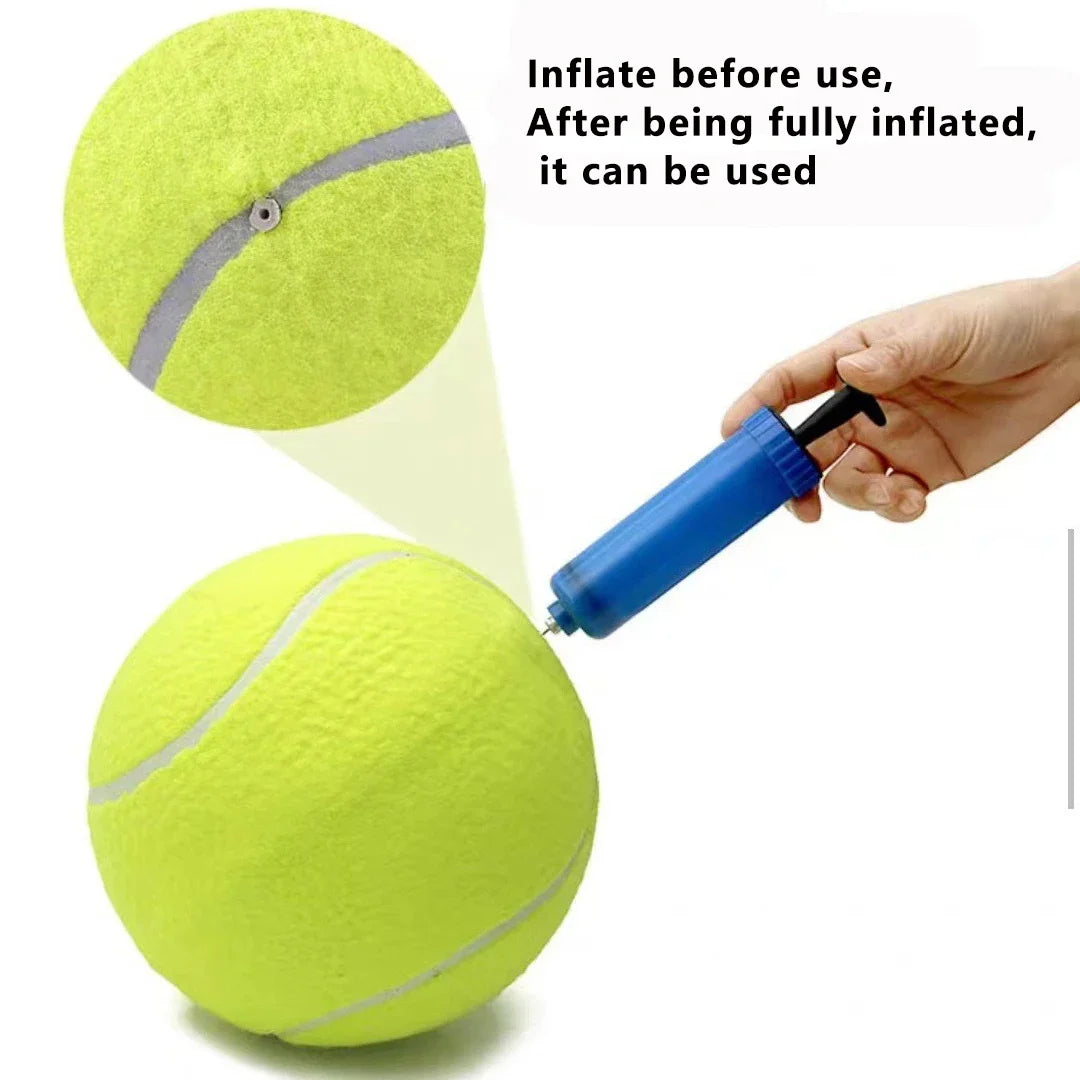 Dog Tennis Ball